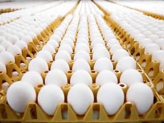 NVWA treft nog steeds fipronil aan in eieren bij controles