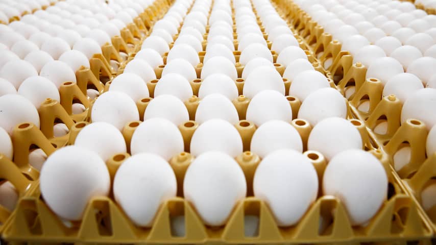 Bedrijf in Barneveld aansprakelijk gesteld voor giftige stoffen in eieren