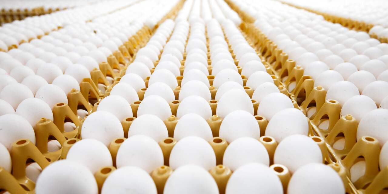 Crisis met besmette eieren treft zeker zeventien landen
