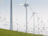 Nederlandse windmolens boeken record in maart door harde wind