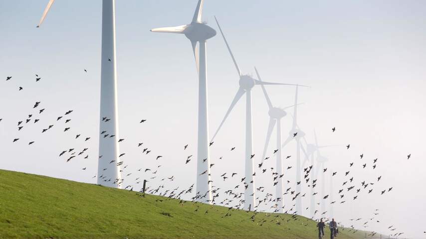 Westermeerdijk