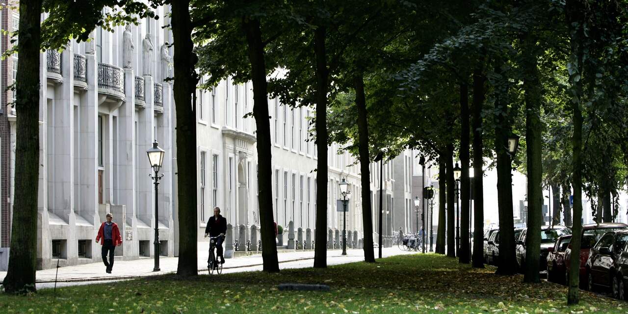 Inwoners Den Haag mogen gratis boom aanvragen om stad groener te maken