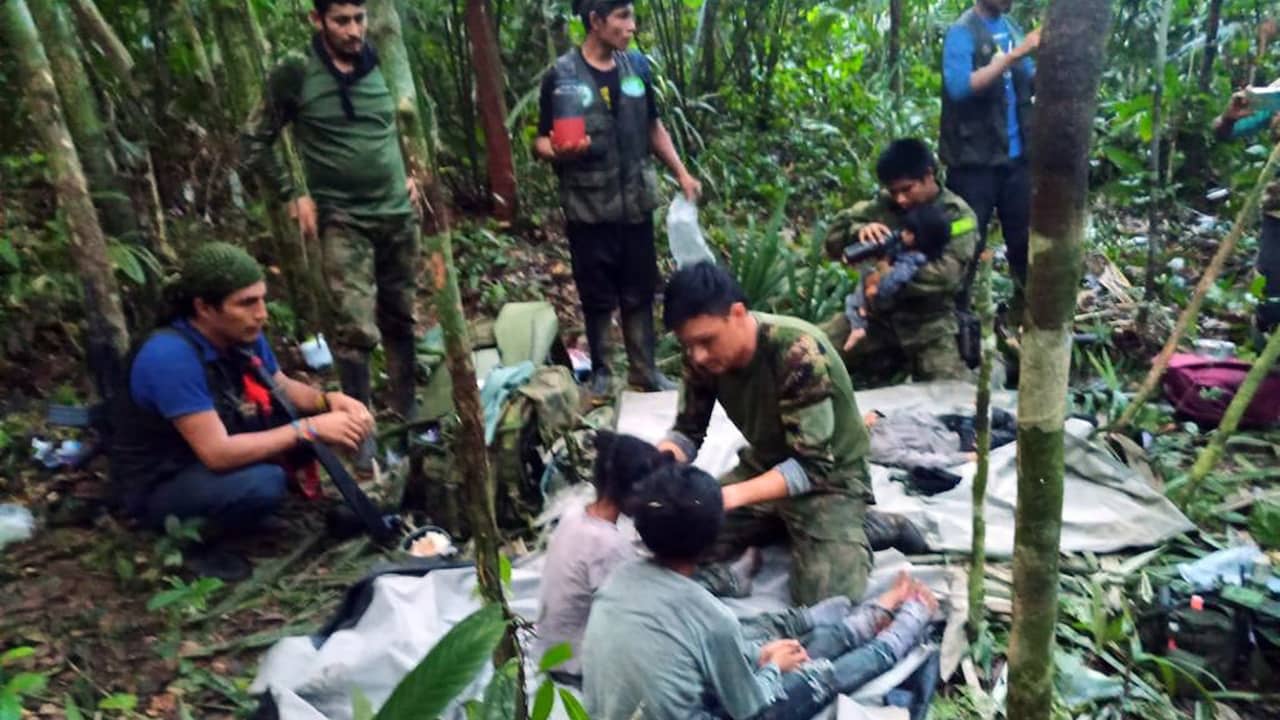 Four Children Survive 40 Days in Colombian Jungle by Eating Cassava Flour and Fruit from Crashed Plane