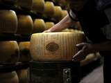 TALY, VALESTRA : A worker checks a wheel of seasoned Parmigiano Reggiano cheese in a factory in Valestra, near Reggio Emilia, Febuary 15 2008. Parmigiano-Reggiano is a grana, a hard, fat granular cheese, cooked but not pressed, named after the producing areas of Parma, Reggio Emilia, Modena, Bologna, in Emilia-Romagna, and Mantova in Lombardy. Parmigiano is simply the Italian adjective for Parma; the French version, Parmesan, is used in English. The term Parmesan is also loosely used as a common term for cheeses imitating true Parmesan cheese, especially outside Europe; within Europe, the Parmesan name is classified as a protected designation of origin. According to legend, the Parmigiano was created in the course of the Middle Ages in Bibbiano, in the province of Reggio Emilia. Its production soon spread to the Parma and Modena areas. Historical documents show that in the 13th-14th century Parmigiano was already very similar to that produced today: this suggests that its origins can be traced far before. In the European Union, "Parmesan" is a protected designation of origin (DOP); legally, it refers exclusively to the Parmigiano Reggiano DOP cheese manufactured in a limited area in Northern Italy.The name is trademarked, and in Italy there is a legal exclusive control exercised over its production and sales by the Parmigiano-Reggiano cheese Consorzio, which was created by a governmental decree. There are strict criteria each wheel must meet early in the aging process, when the cheese is still soft and creamy, to merit the official seal and be placed in storage for aging. AFP PHOTO / FILIPPO MONTEFORTE