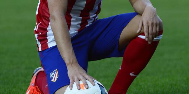 David Villa