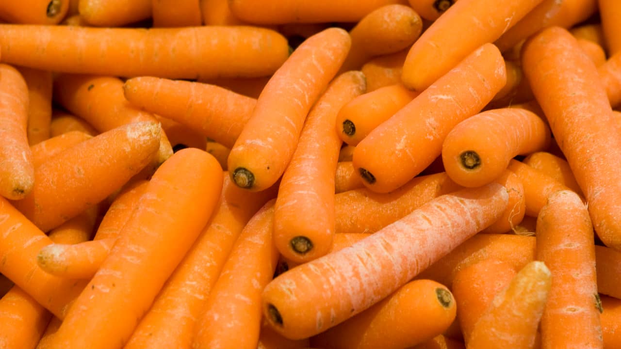 Dutch Carrot Cartel Uncovered: Companies Fined Over 2.5 Million Euros