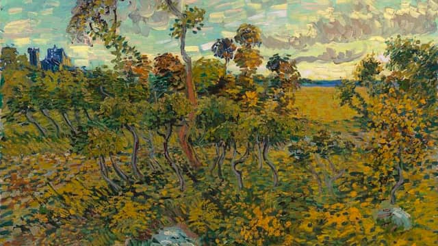 Nieuw schilderij Vincent van Gogh ontdekt