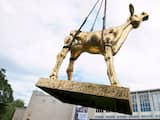 Gouden Kalf