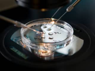 DNA menselijk embryo voor eerste keer aangepast om hartziekte te voorkomen