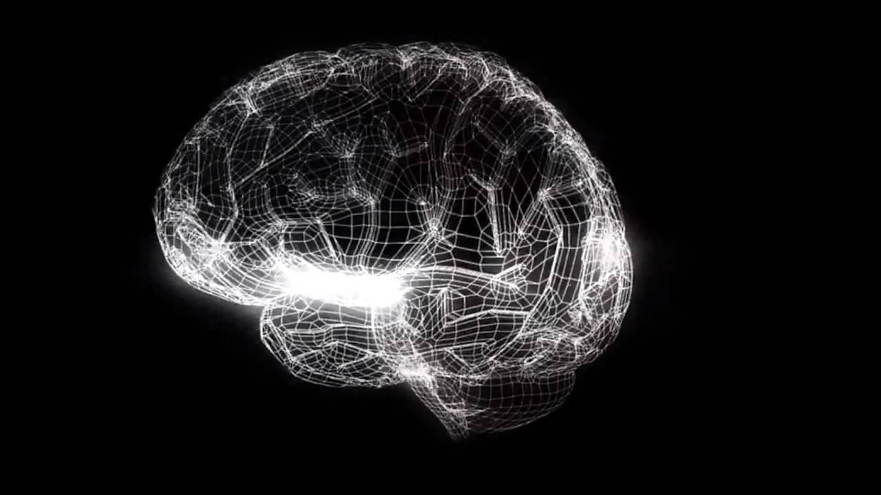 Brain 8 1. Мозг на ладони. Human Brain Project логотип. ИИ. Neuropolis.