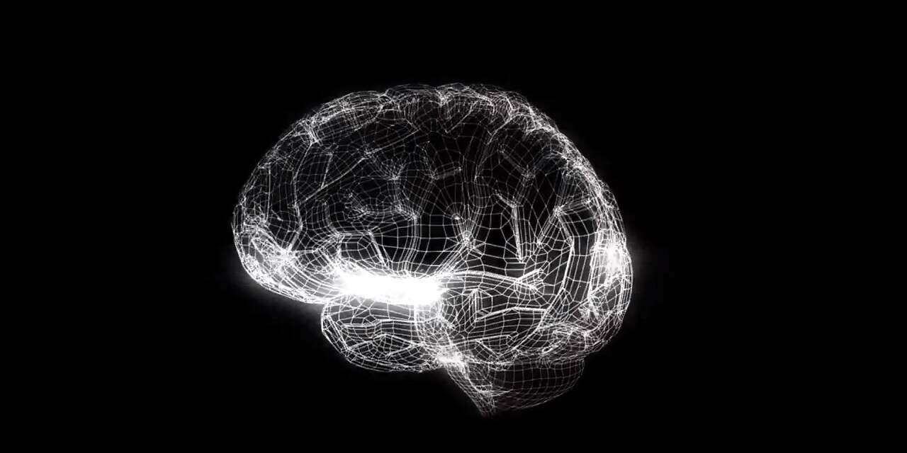 Ontwikkeling computermodel van menselijk brein van start