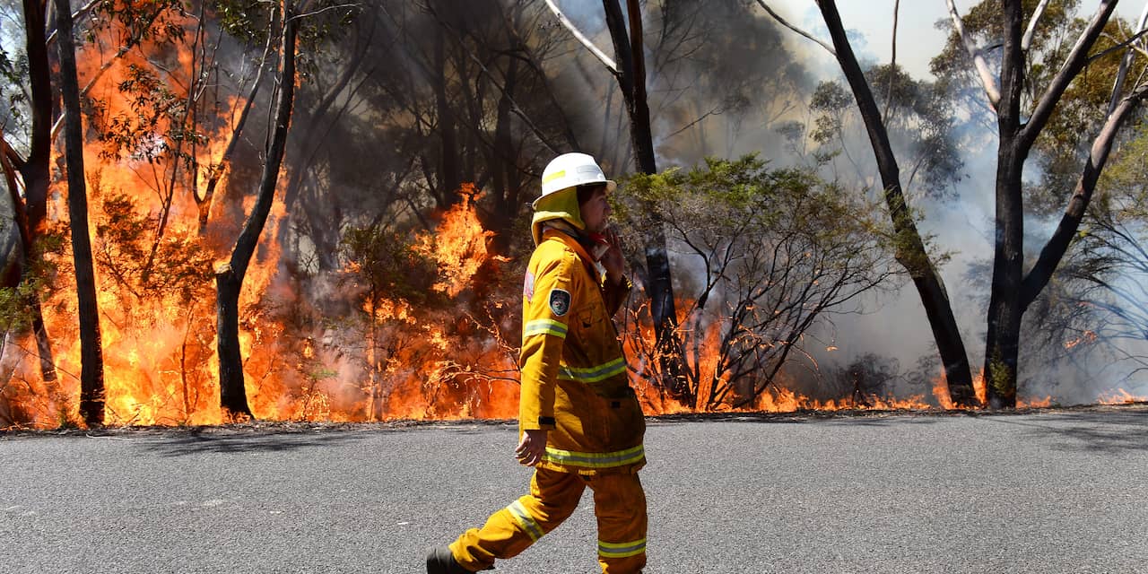 Opnieuw doden door bosbranden Australië