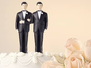Ruim 21.000 homohuwelijken gesloten sinds 2001