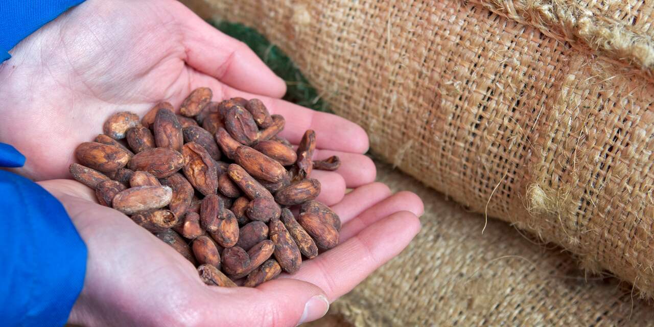 'Internationale spanningen doen gas- en cacaoprijs stijgen'