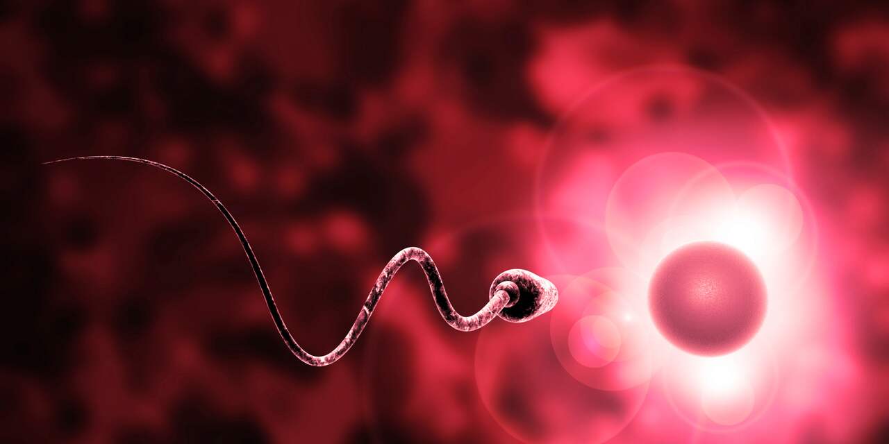 Spermabanken gaven foute informatie over donoren