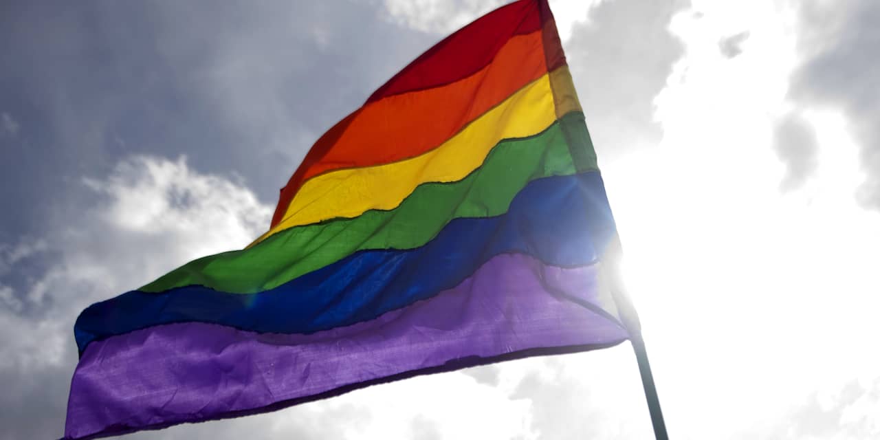 Japanse rechtbank verklaart verbod op homohuwelijk ongrondwettelijk