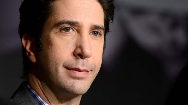 David Schwimmer