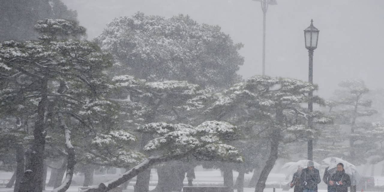 Doden door extreem winterweer in Japan