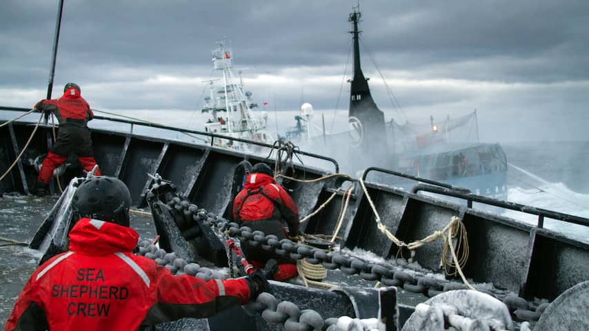 Sea Shepherd