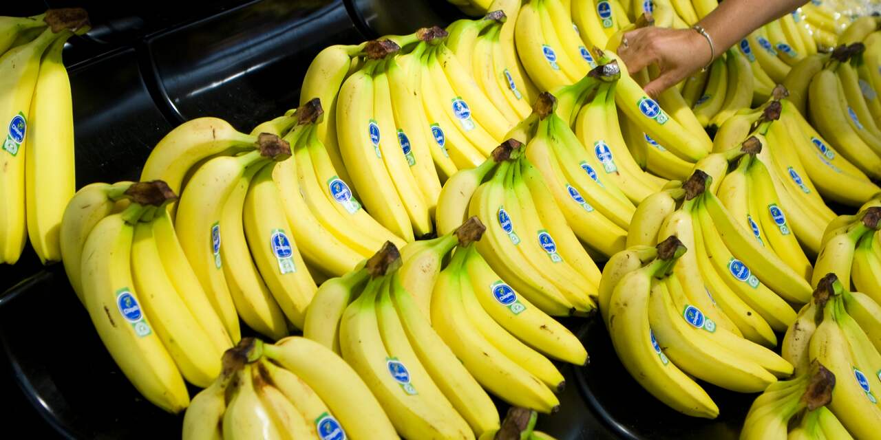 Bananenbedrijf Chiquita krijgt tegenbod