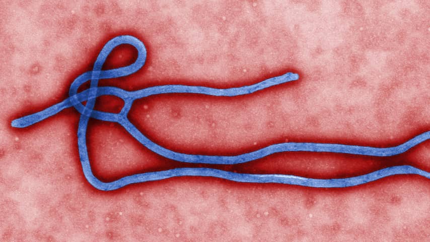 Dodental ebola nadert de vijfduizend