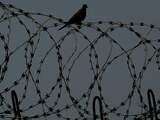 De beruchte Iraakse gevangenis van Abu Ghraib wordt om veiligheidsredenen gesloten. Dat hebben de Iraakse autoriteiten dinsdag bekendgemaakt.