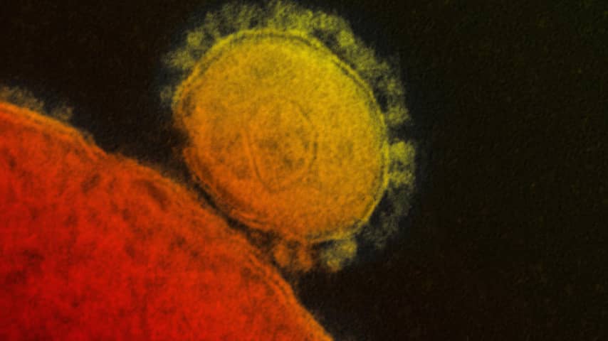 Vijf dingen die u moet weten over het MERS-virus