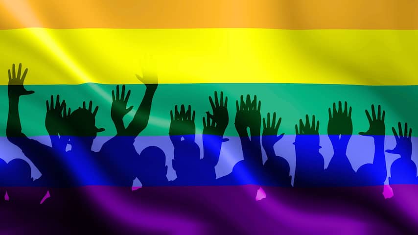 homo homo's regenboogvlag