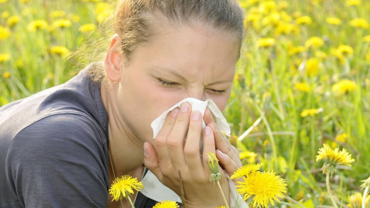 Hay fever symptoms can be confused with corona symptoms |  NOW