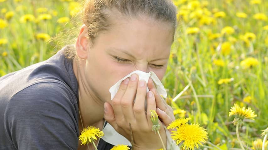 'Toename allergieën door gebrek aan bacteriën in darmen'