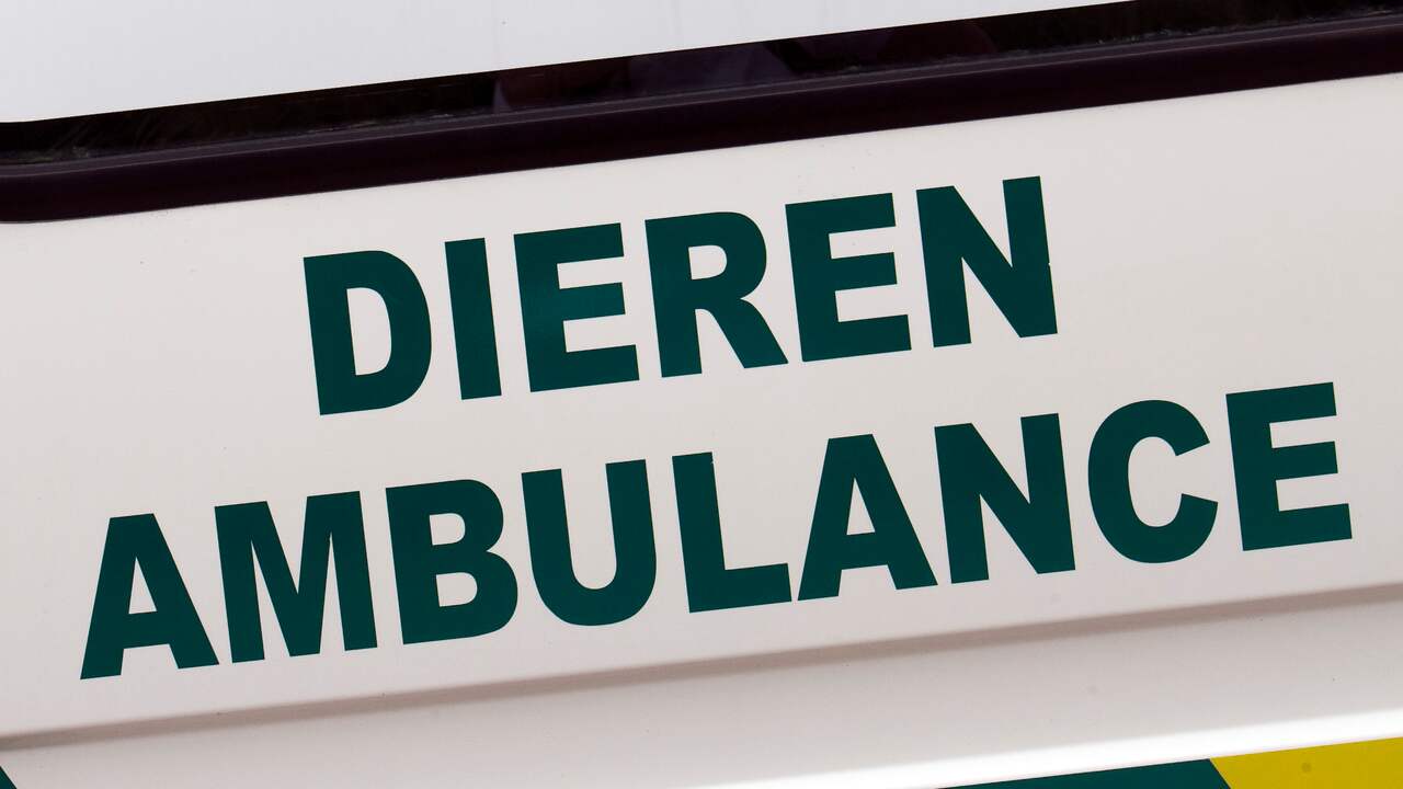 Al ruim achtduizend euro bij elkaar voor nieuwe dierenambulance