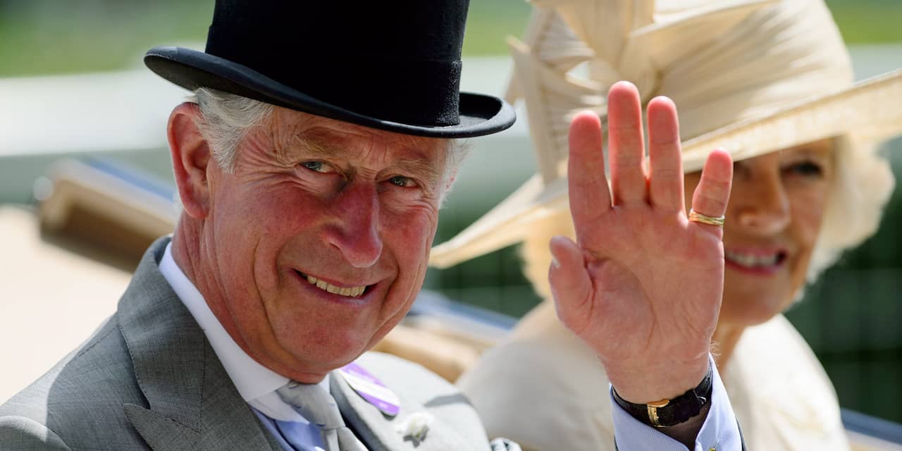 BBC-journalist maakt excuses voor beledigingen Britse royals
