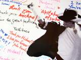 Erfenis van Michael Jackson, briljant zonder realiteitszin