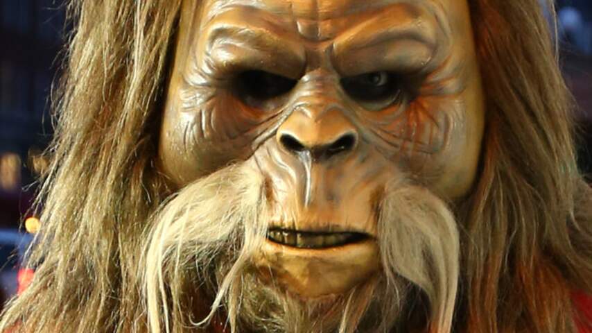Yeti