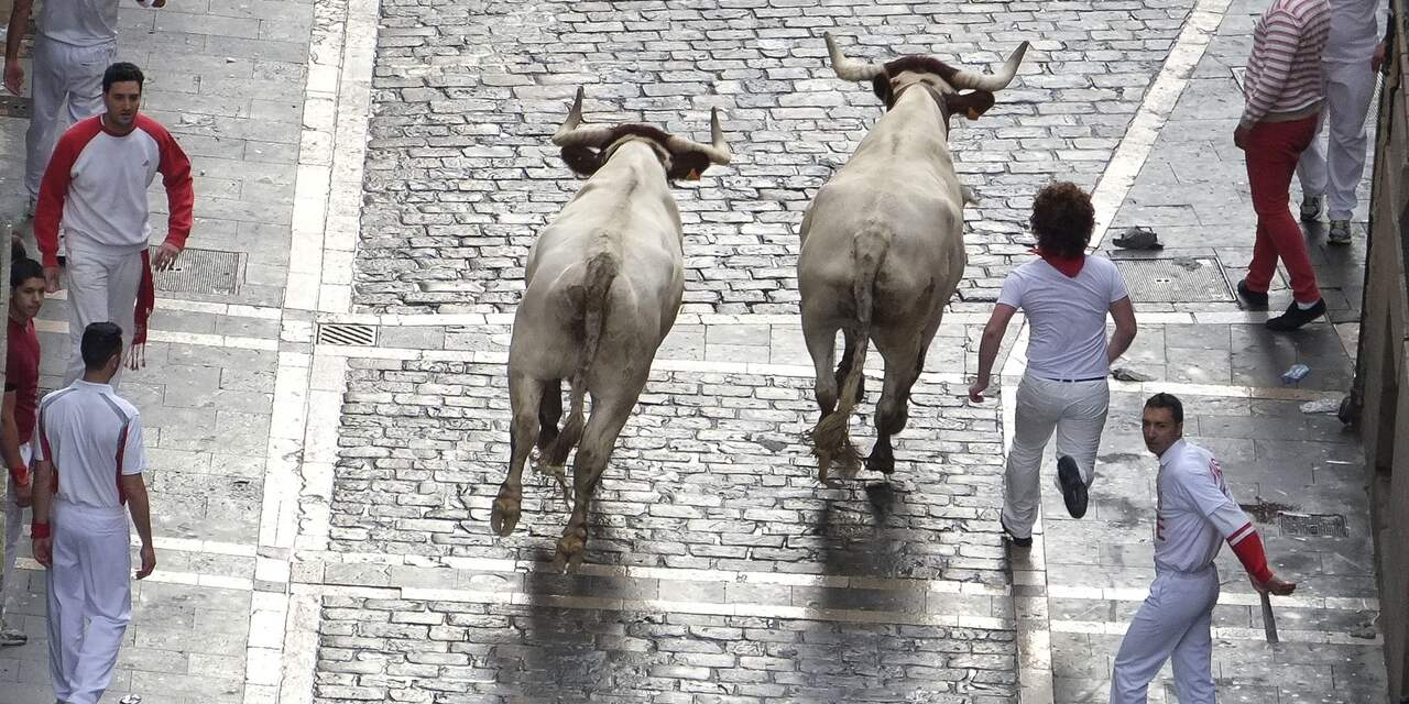 Stier doorboort Spanjaard bij rennen in Segovia