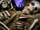Resten van bloemen ontdekt op prehistorisch graf in Spanje
