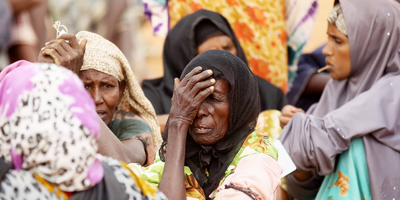 'Kenia blijft zo lang als nodig in Somalië'