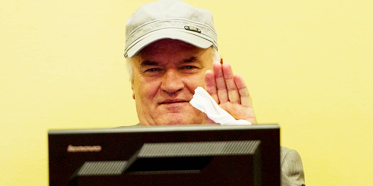 'Slechts twee slachtoffers Mladic opgevoerd'