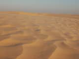 Onderzoek: Sahara was ooit gigantische zee met grote diersoorten