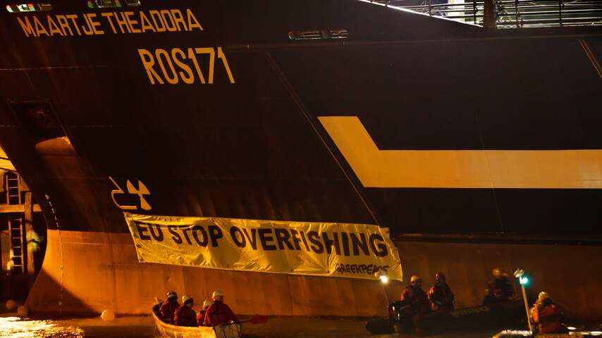 Actievoerders Greenpeace bij de geketend schip in haven van IJmuiden