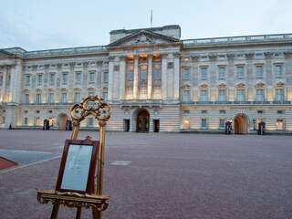 Paddo's gevonden in tuin Buckingham Palace