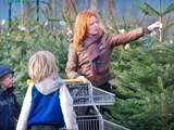 'Kerstboom wordt duurder'