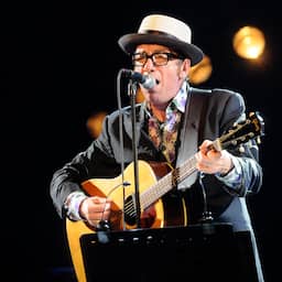 Elvis Costello over mogelijk plagiaat Olivia Rodrigo: ‘Het is prima’