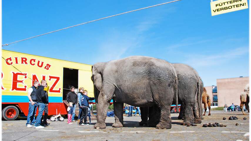 Het Duitse circus Renz is in Noordwijk