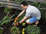 Planten kunnen 'meeroken' met mensen 