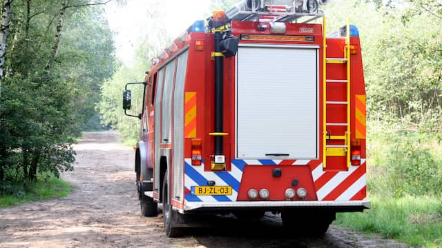 Grote BJ Videos
