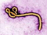 Nederlandse arts bang voor ebolabesmetting 