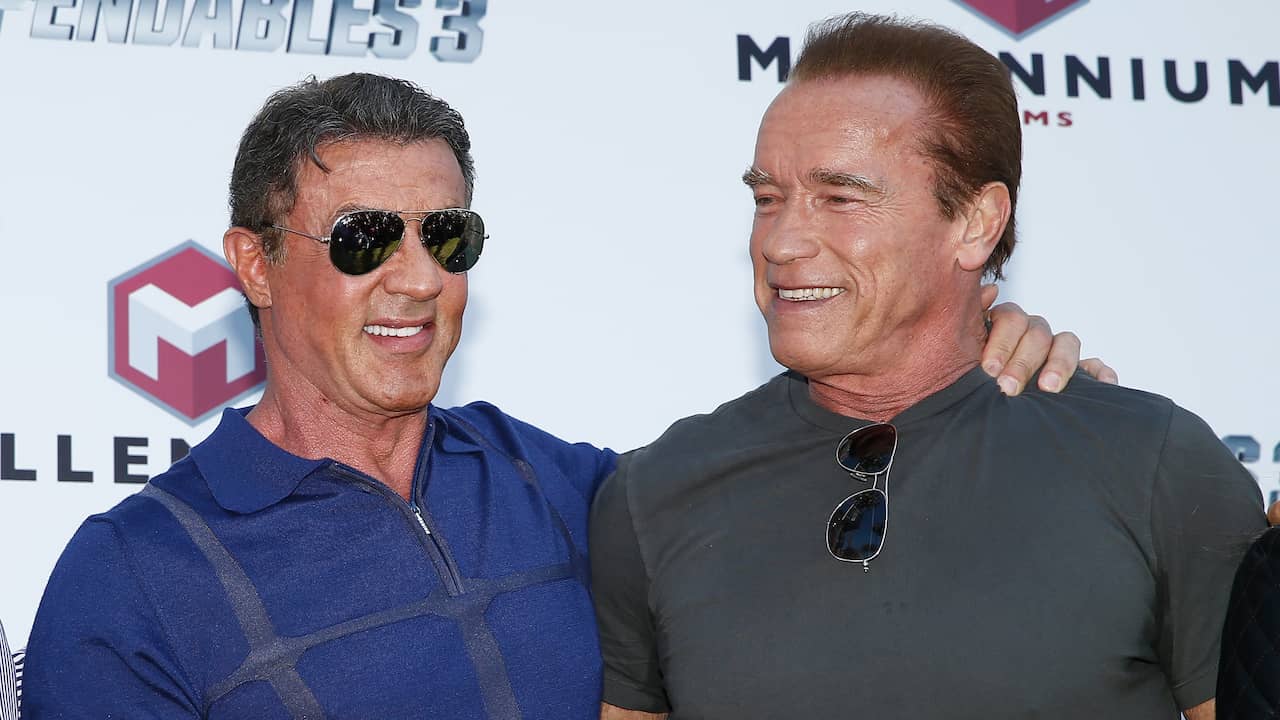 Schwarzenegger and Stallone look at the fight: ‘Competition to the max’ |  Backbiting