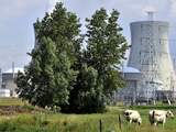 De gesaboteerde Belgische kernreactor Doel 4 ligt zeker tot het einde van het jaar stil. Dat heeft eigenaar Electrabel van de kerncentrale bij Antwerpen donderdag bekendgemaakt.