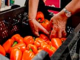  Vrijwilligers sorteren kilo's paprika's bij de voedselbank. Door de Russische boycot van producten uit de EU is er een groot aanbod van verse groente en fruit. ANP ROBIN VAN LONKHUIJSEN